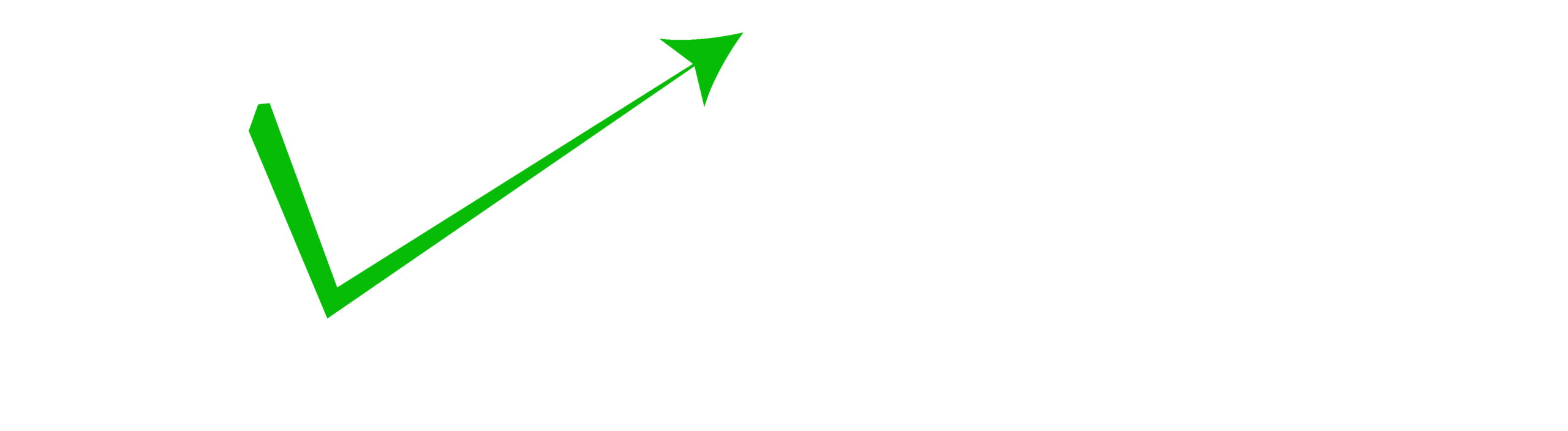 BounceChecker.net logo – email bounce verification solution to protect SMTP servers and IP addresses in email campaigns